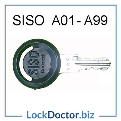 D20 SISO Key from lockdoctorbiz